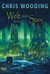 Welt aus Stein (Paperback)