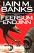 Feersum Endjinn (Paperback)
