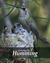 Growing Up Humming