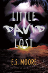 Little David Lost
