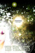 The Veil LIfts (The Katy Li...