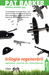 Trilogia regenerării [Regenerarea • Ochiul Din Uşă • Drumul Fantomă] (Paperback)