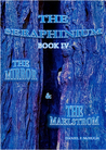 The Mirror and the Maelstrom by Daniel McHugh