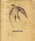 Cuaderno de vuelo