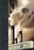 The Sheep Look Up (Hardcover)