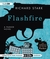 Flashfire: A Parker Novel (Audio CD)