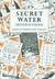 Secret Water (Hardcover)