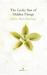 The Lucky Star of Hidden Things