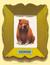 Chowder (Hardcover)