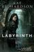 Labyrinth (Greywalker, #5)