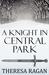 A Knight in Central Park (Paperback)