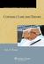 Contract Law and Theory