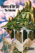 Flowers of the Sky: The Collection