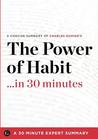 The Power of Habit ...in 30 Minutes The Power of Habit ...in 30 Minutes