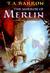 The Mirror Of Merlin (The Lost Years of Merlin, #4)
