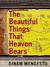 The Beautiful Things That Heaven Bears (ebook)