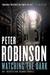 Watching the Dark (ebook)