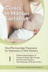 Clinics in Human Lactation 1: Non-Pharmacologic Treatments for Depression in New Mothers