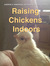 Raising Chickens Indoors