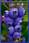 Blueberries in Your Backyard
