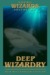 Deep Wizardry (Young Wizards, #2)