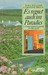 Es regnet auch im Paradies: Unser erstes Jahr in Irland (Paperback)