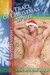 And The Prompt Is...A Trace of Christmas Spirit by Havan Fellows
