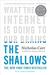 The Shallows: What the Internet is Doing to Our Brains (ebook)