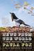 News from the World: Stories and Essays (ebook)