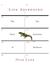 Life Ascending: The Ten Great Inventions of Evolution (ebook)