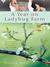 A Year on Ladybug Farm (ebook)