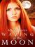 Waving at the Moon Waving at the Moon (ebook)