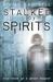 Stalked by Spirits (ebook)