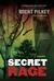 Secret Rage: A Mystery (ebook)