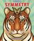 Seeing Symmetry (Paperback)