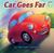 Car Goes Far by Michael Garland