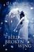 The Bird with the Broken Wing (Paperback)