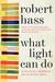 What Light Can Do: Essays on Art, Imagination, and the Natural World (Paperback)
