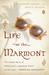 Life at the Marmont by Raymond Sarlot