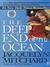 The Deep End of the Ocean (ebook)