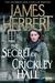 The Secret of Crickley Hall (Paperback)