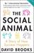 Social Animal: A Story of How Success Happens (Paperback)