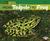 From Tadpole to Frog (ebook)