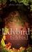 Ladybird, Ladybird (Paperback)