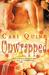 Unwrapped (Paperback)
