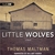 Little Wolves: A Novel (Audio CD)