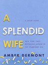 A Splendid Wife A Splendid Wife