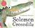 Solomon Crocodile (Hardcover)