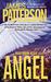 Angel: A Maximum Ride Novel (ebook)