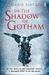 In the Shadow of Gotham. Stefanie Pintoff (Paperback)